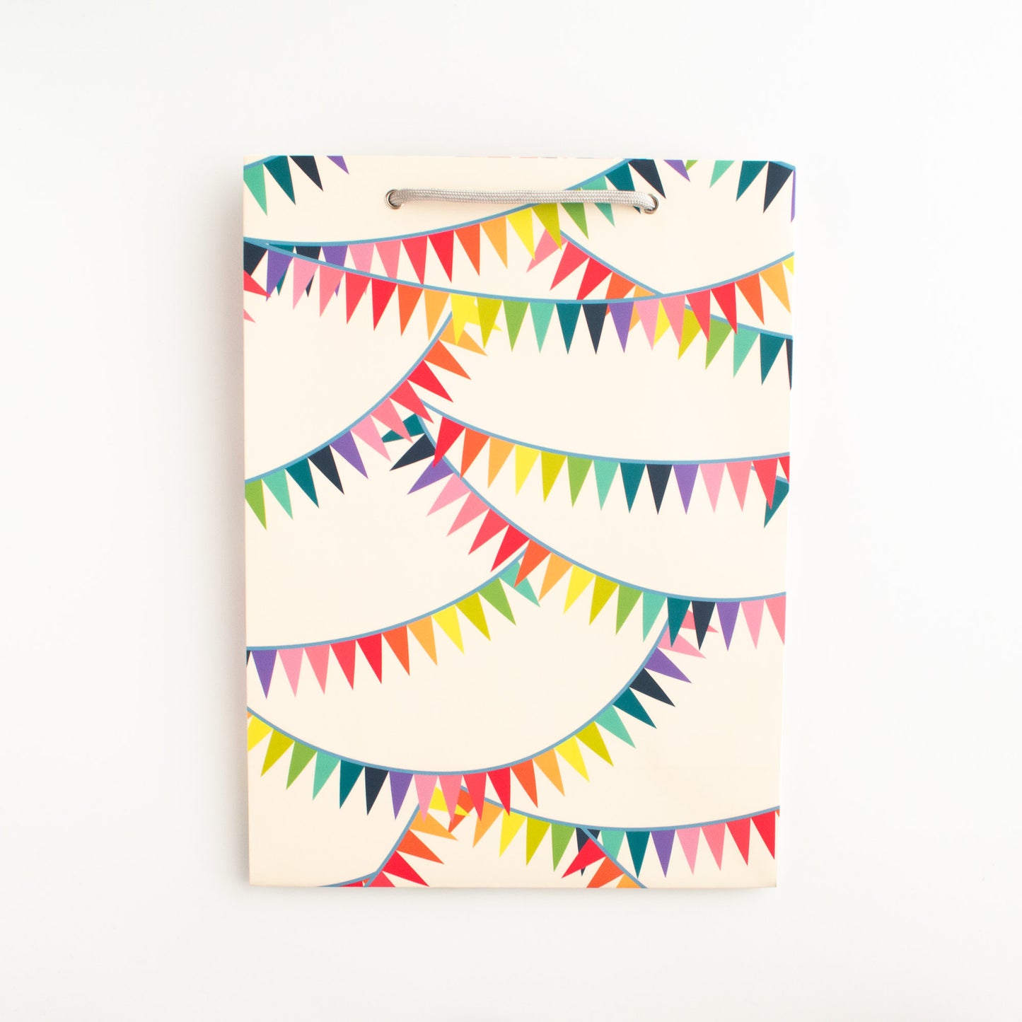 Rainbow Bunting Birthday Gift Bag