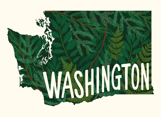 Washington Postcard