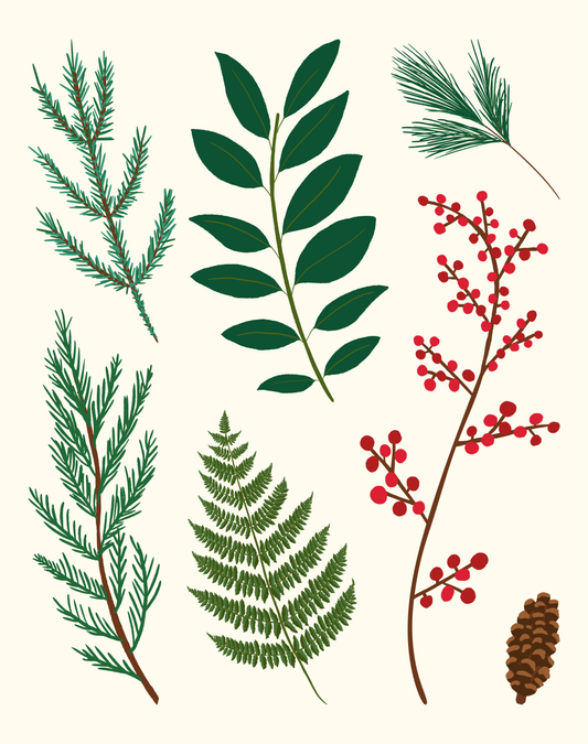 Christmas Botanical Art Print