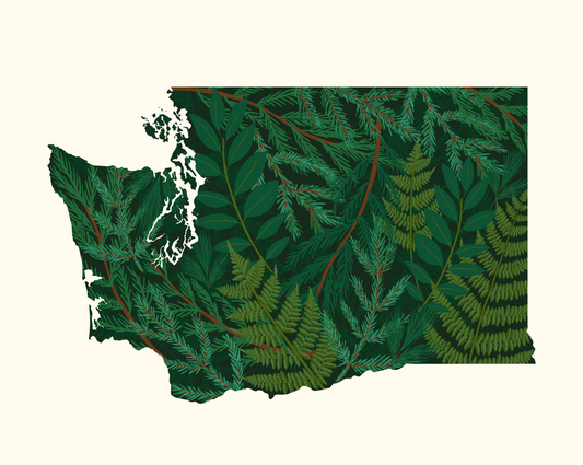 Washington State Art Print